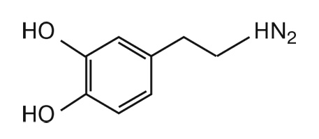 Мозг. Инструкция пользователя