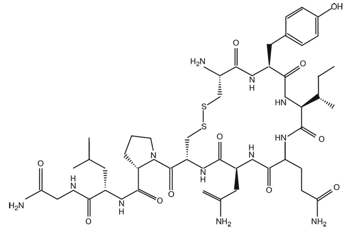 Мозг. Инструкция пользователя