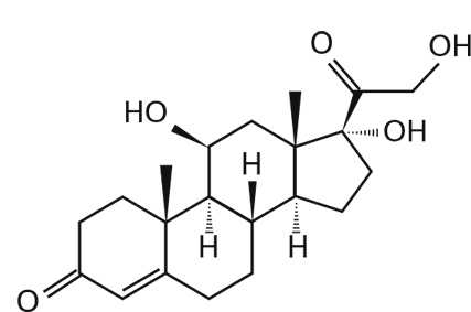 Мозг. Инструкция пользователя