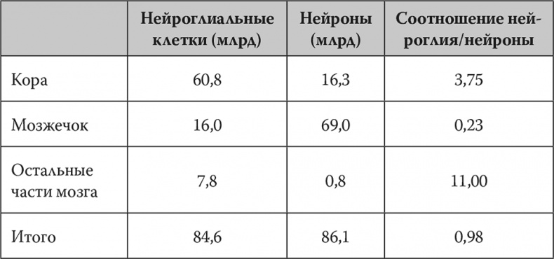 Мозг. Инструкция пользователя