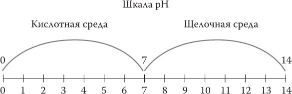 Предрассудки о здоровье. Жить надо с умом и правильно